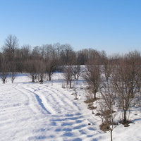 Зимовий пейзаж