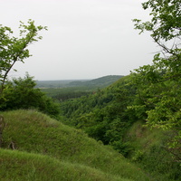 Вид на Западню и гору Лысоха со стороны Межирича