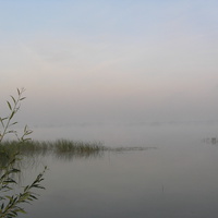 Белое озеро. Туман утром