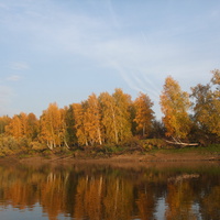 осень на реке Васюган