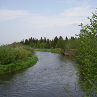 Река Шерна
