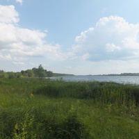 Берег озера Тубосс у деревни Фефелово