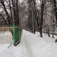 Бирюлево, зимняя тропа