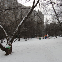 Двор по Липецкой 12