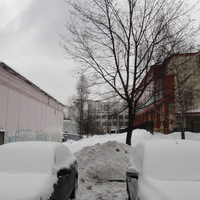 Во дворах у ФОКа