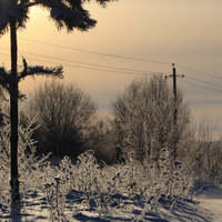 зимний закат у Мамлейской рощи