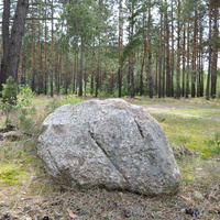 Камень с восьмиконечным крестом в горcком лесу