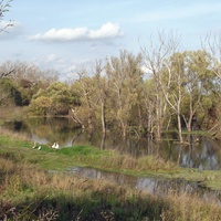 Река Розка в Ёржино.