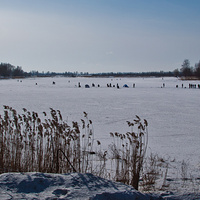 Река Ижора зимой