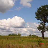 Черсево