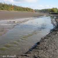 річка Ятрань гине, 2008 рік