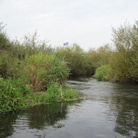 Место впадении реки Селычка в реку Иж