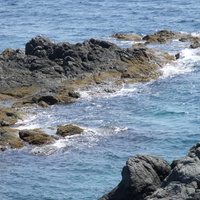 Август 2011. Берег океана в районе Ливадии.
