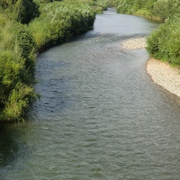 Река Сучан. Август 2011.