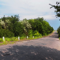 Дорога на Ольховатку с Булавинки