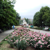 Волгодонск. Церковь Василия Блаженного.