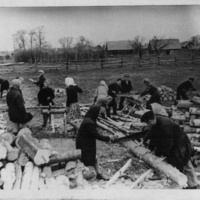 Березовка. Заготовка дров для отопления школы. 1964 г.
