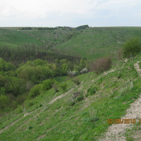 Мала долина між с.Мала Кужелівка та с.Синяківці