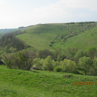 Мала долина між с.Мала Кужелівка та с.Синяківці
