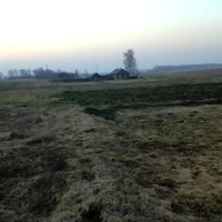 д Перепись .