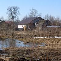Халипино, Красносельский район, Весна 2013