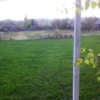 д Перепись. Улица Карповка