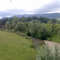 Річка Мшанка