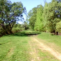 Болото  гребля