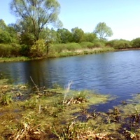 Болото Гребля