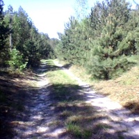 Перепис Полянский лес