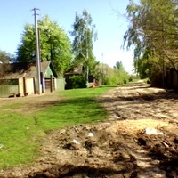 Улица Карповка