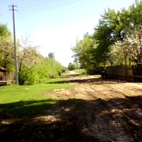 Улица Карповка