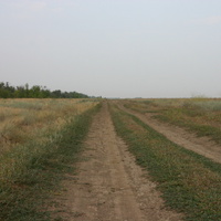 Дорога в Волгоградской степи