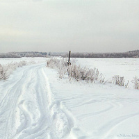 Зимняя дорога на Дуброво