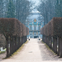 Аллея в Екатерининском парке