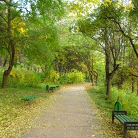 Рышкановский  парк