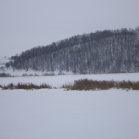 Солдыбаевский лес в январе