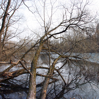 Верхний пруд