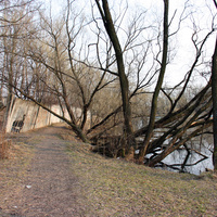 Дорожка у пруда