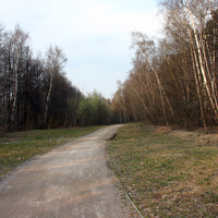 Тротуар в парке