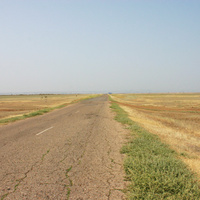 Дорога к Волге (Калинено - Колышкино)