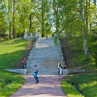 Лестница в Павловском парке