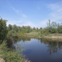 Река Ворскла в районе с. Писаревщина