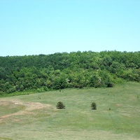 Лес около Просяного.