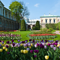 Фрейлинский садик. Май 2013 года.