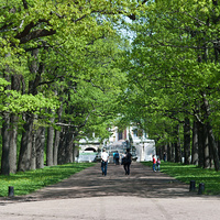 Екатерининский парк. Рамповая аллея.