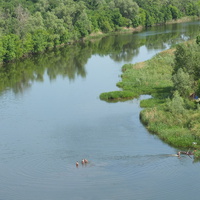 река Калитва (Каяла)
