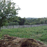 Панорама огорода