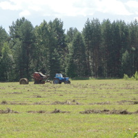 поле за деревней Кудряшово