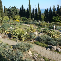 Никитский Ботанический Сад